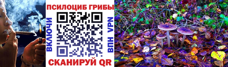 Купить  Саки  Галлюциногенные грибы мицелий 